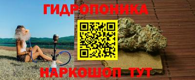 Альфа ПВП Аша