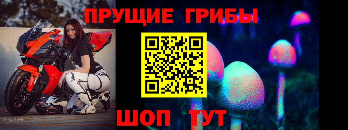 Галлюциногенные грибы Psilocybe  Вход с VPN  Красноармейск 